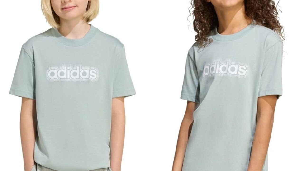 Camiseta ESSENTIALS adidas Sportswear Verde: conforto e estilo para o dia a dia