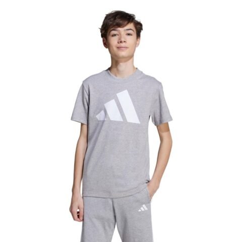 Camiseta Essentials adidas Sportswear Cinza: Conforto e Estilo para o Dia a Dia