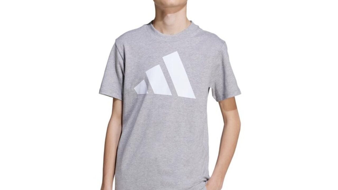 Camiseta Essentials adidas Sportswear Cinza Infantil – Conforto e Estilo