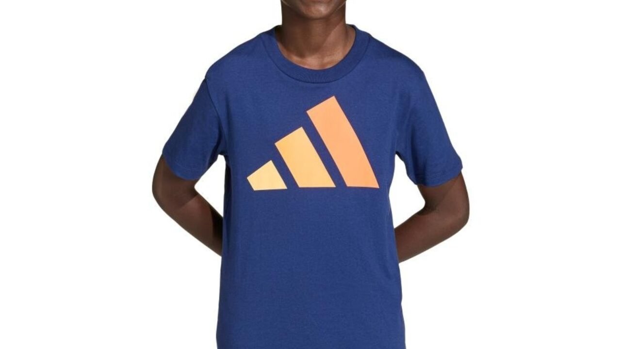 Camiseta Essentials adidas Sportswear Azul: Conforto e Estilo para o Dia a Dia