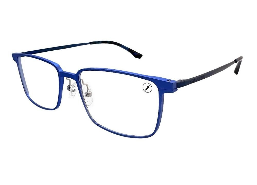 Armação Para Óculos de Grau Chilli Beans Masculino Azul – LV.MT.0787.0808 M