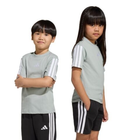 Camiseta Essentials adidas Sportswear Verde: conforto e estilo para o dia a dia